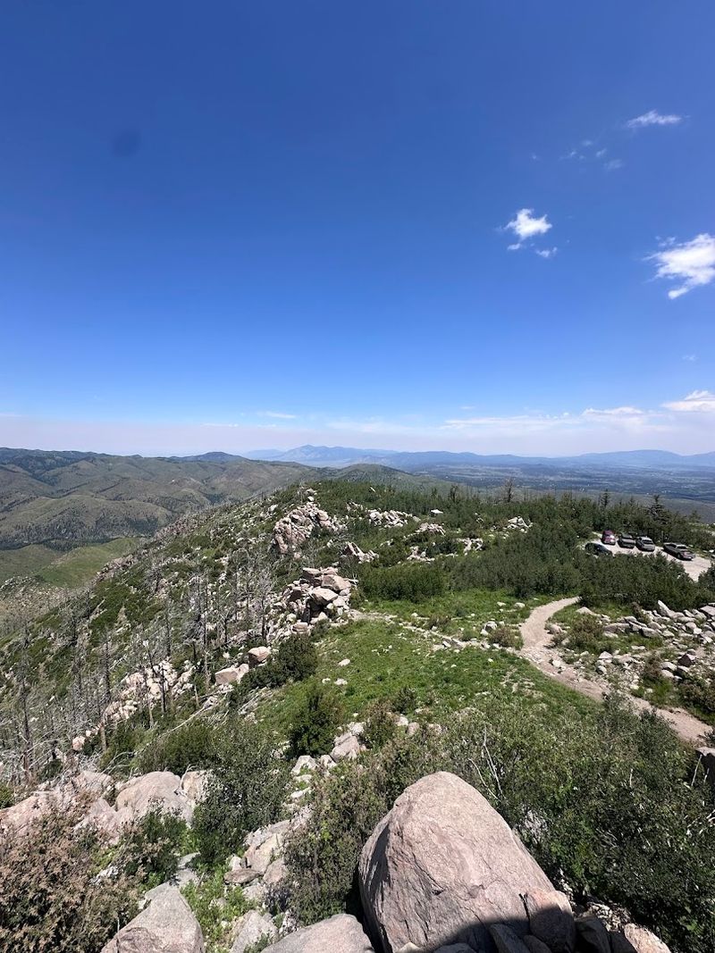 Where Forest Peaks Meet Open Sky