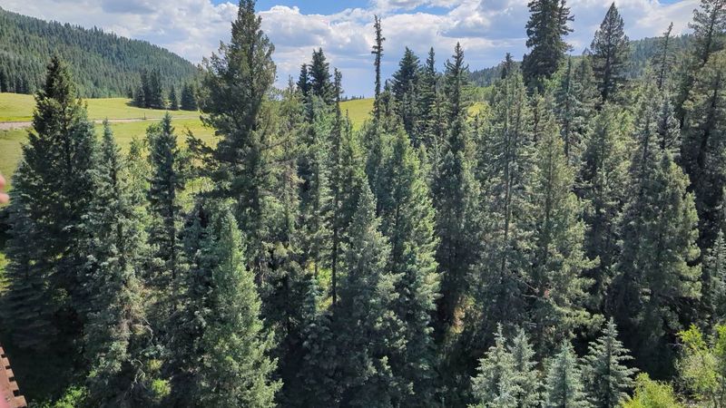 Rocky Mountain Scenery From The Rails