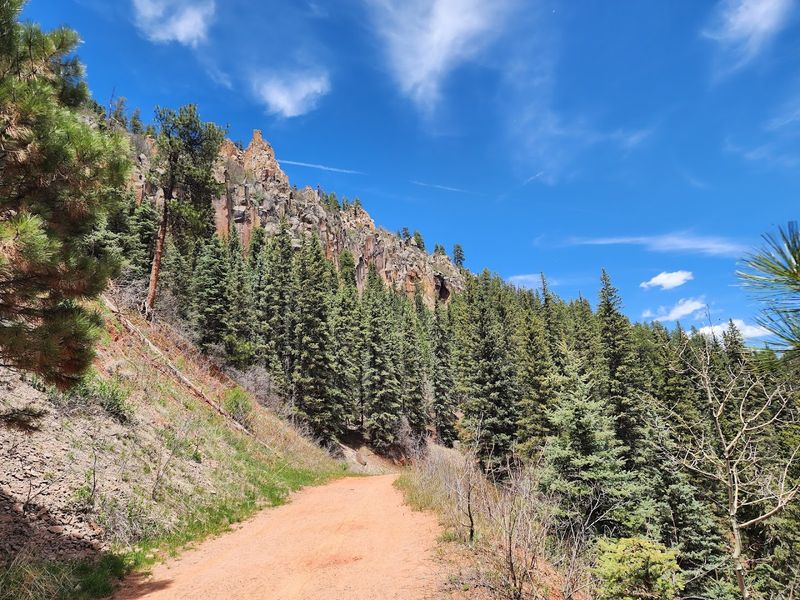 A Scenic Trail Through New Mexico Wilderness