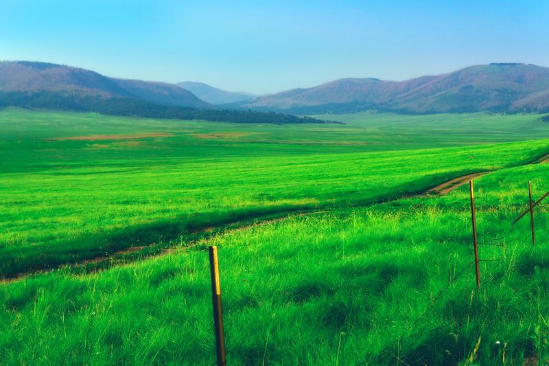 Where Elk Graze Across Open Valleys