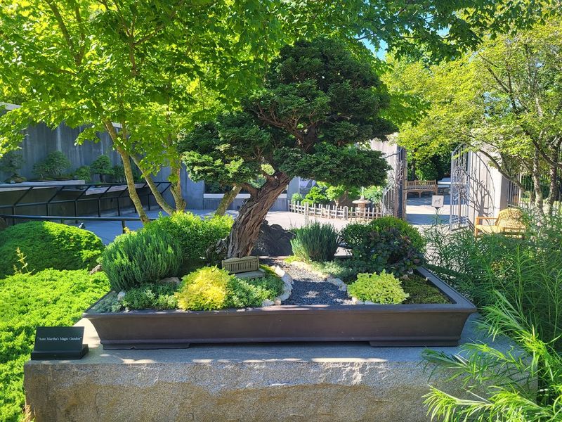 Bonsai Garden Worth Every Step