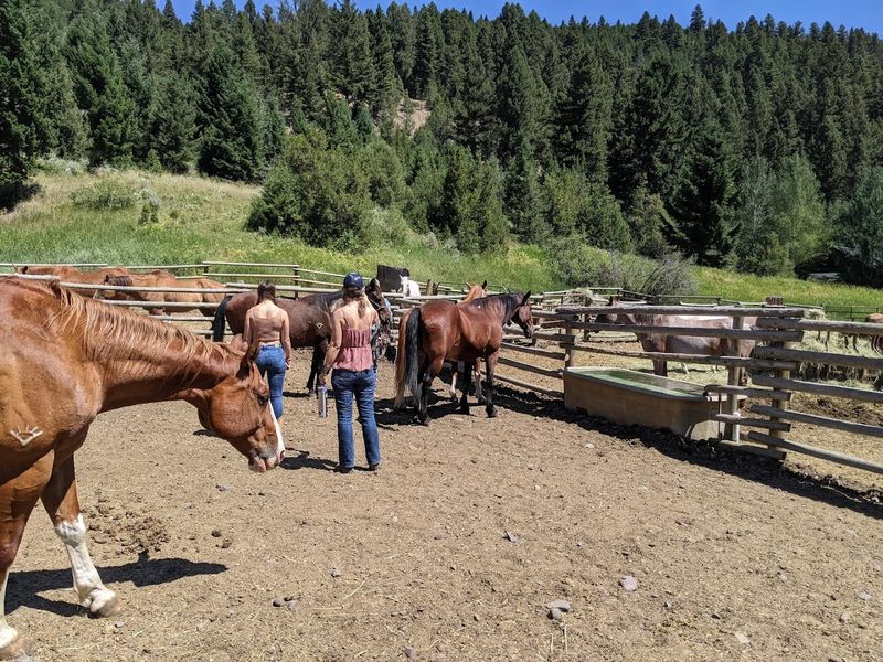 Mountain Sky Guest Ranch