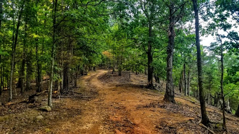 Why This Park Deserves A Spot On Your Virginia List