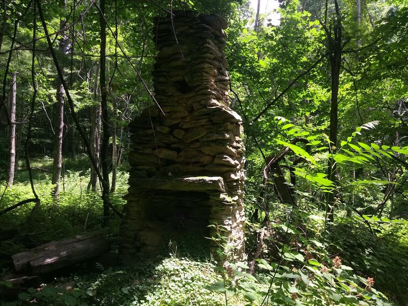 Ghosts Of A Forgotten Community Hidden In The Trees
