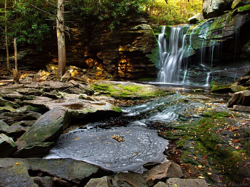 Blackwater Falls State Park -  Elakala Falls