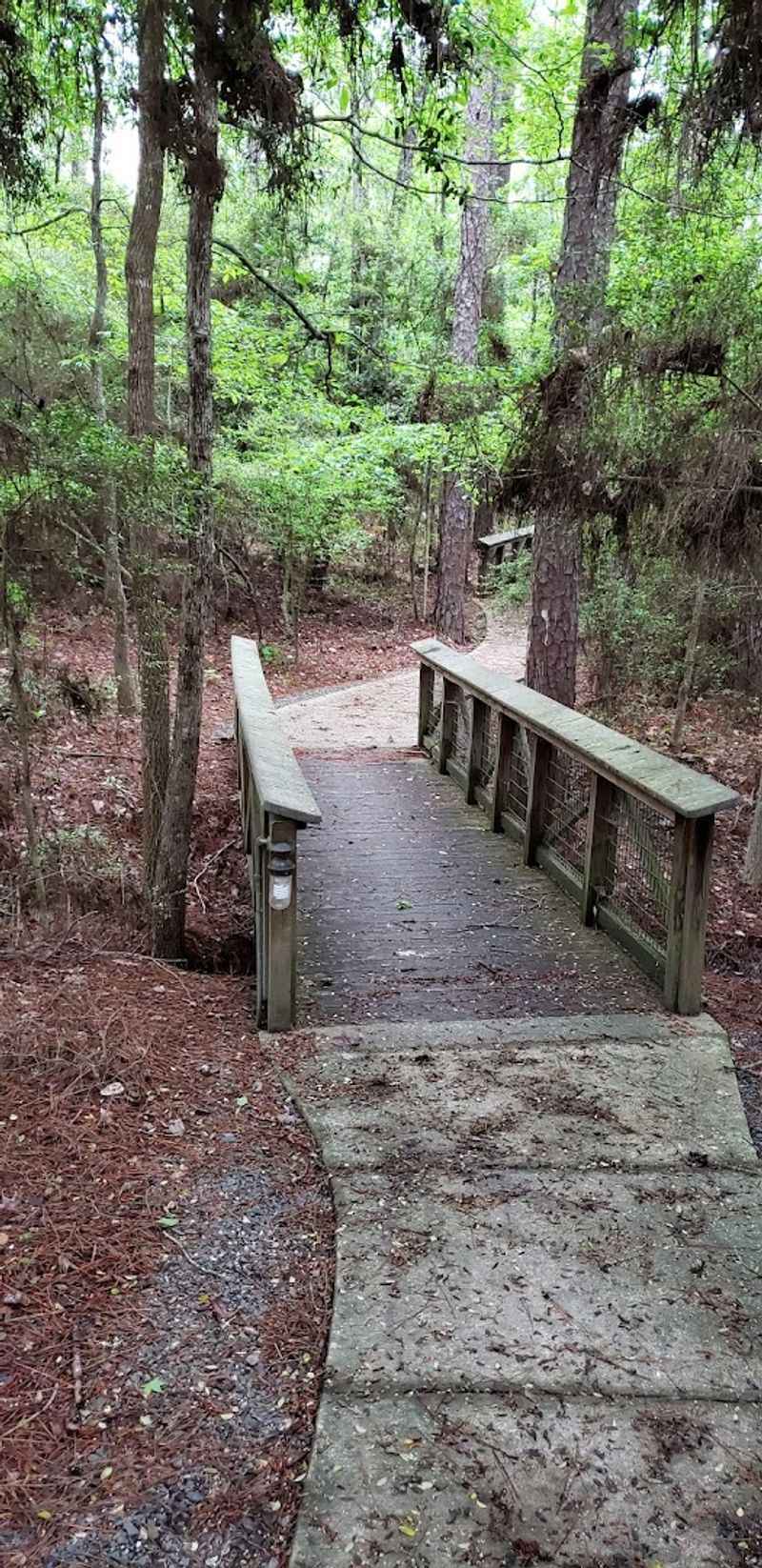 Bald Eagles Nest Trail