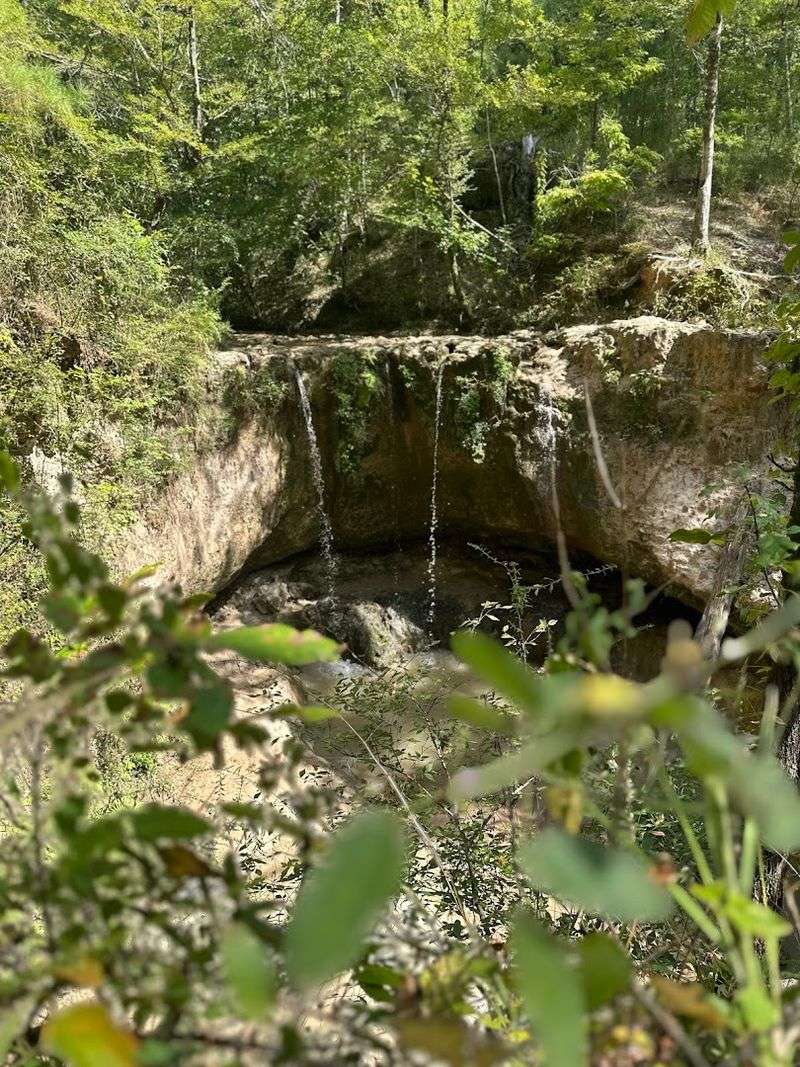 Local Attractions Beyond The Campground