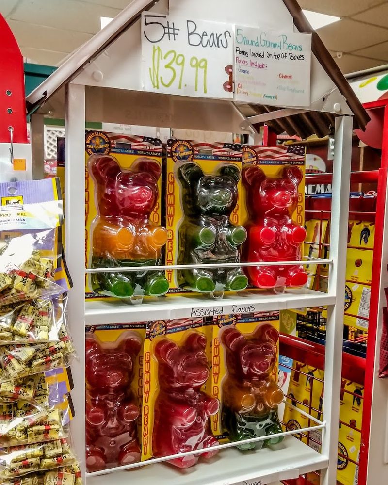 Gummy Candy Wonderland