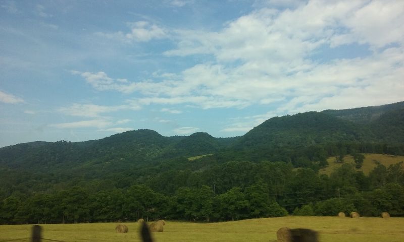 Moorefield