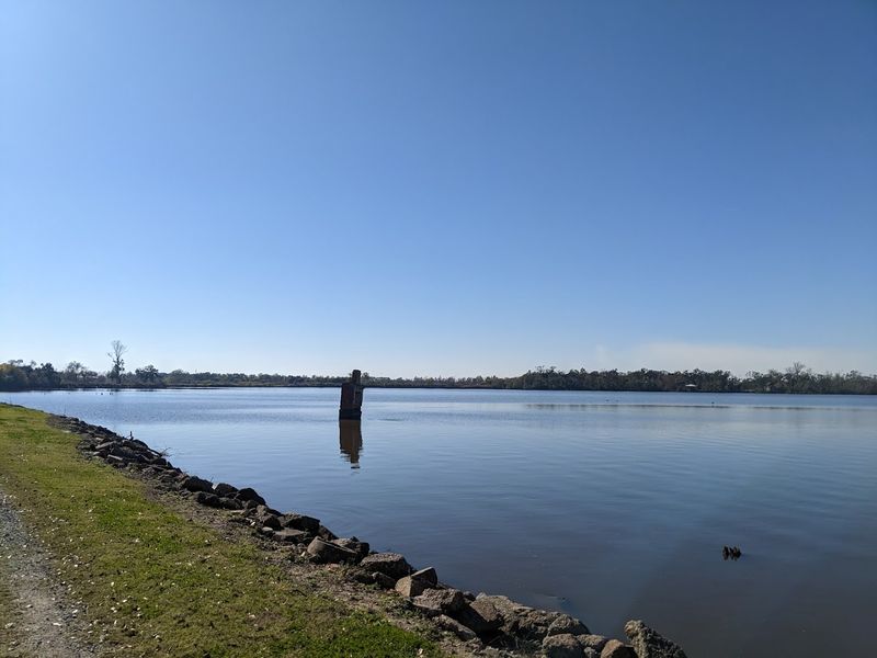 The Lake, Lake Peigneur And The 1980 Event