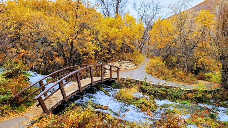 Cascade Springs Interpretive Trail