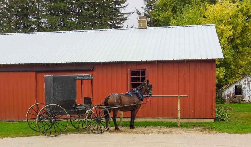 Amish Culture Close Up
