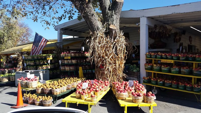 Golden Harvest Farms