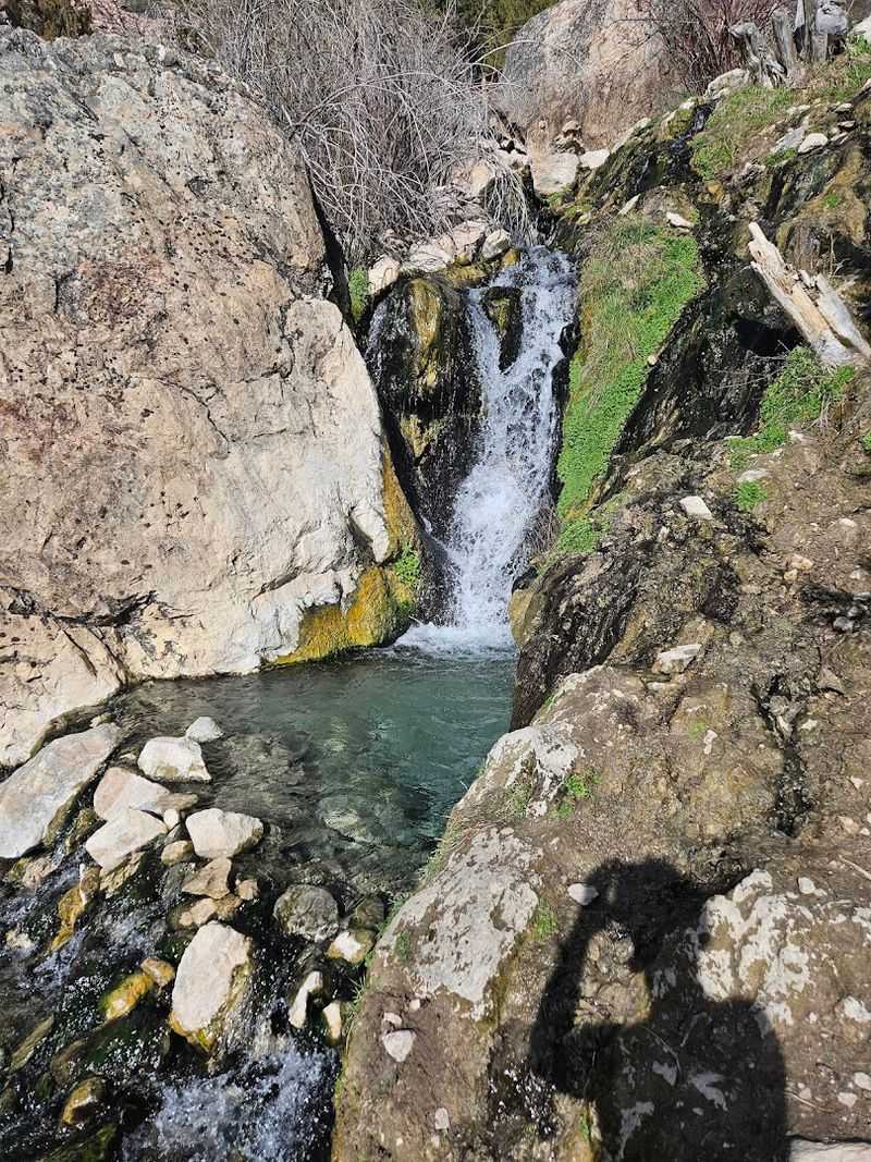 Wildlife And Trail Hazards