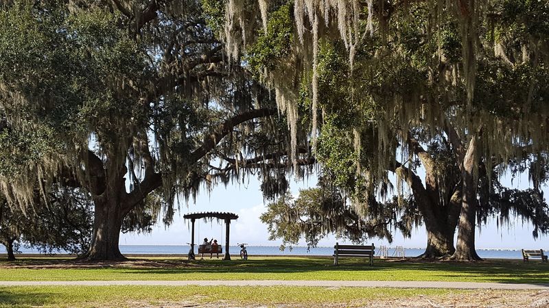 New Orleans Always Within Reach