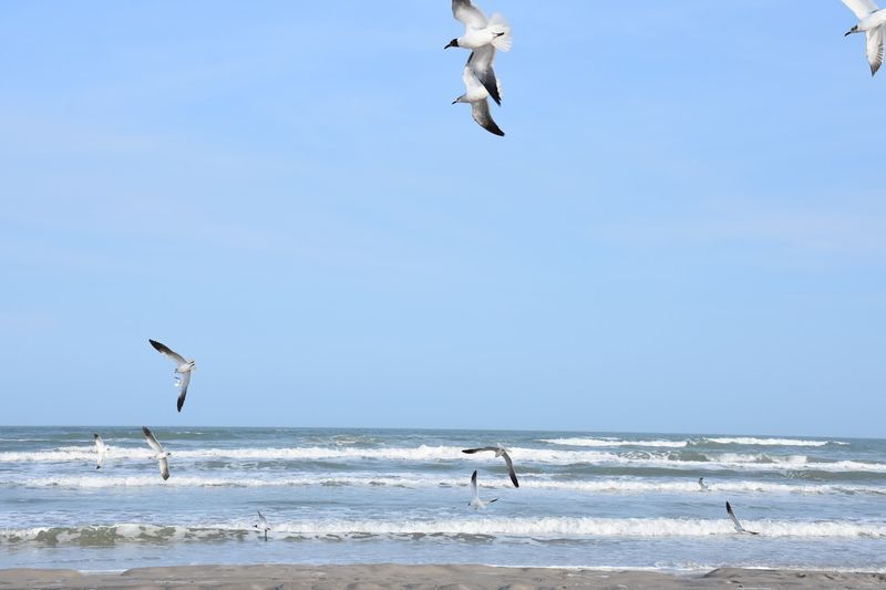 Whitecap Beach