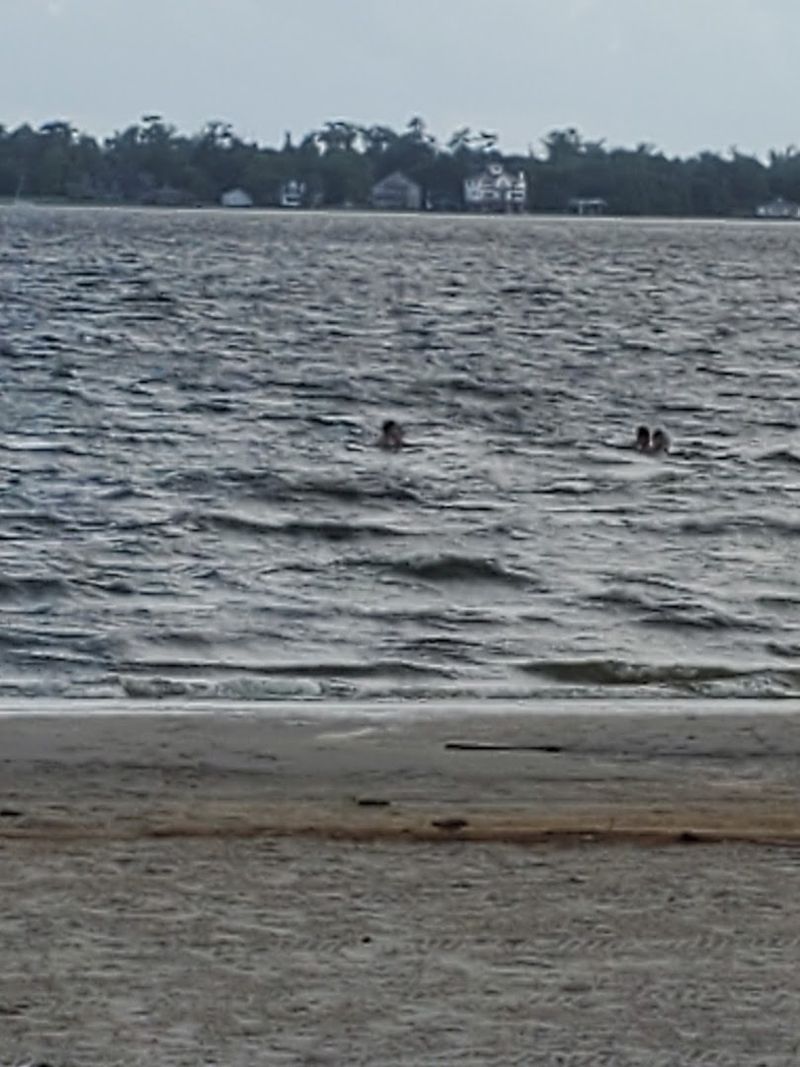 Check Water Advisories Before Swimming