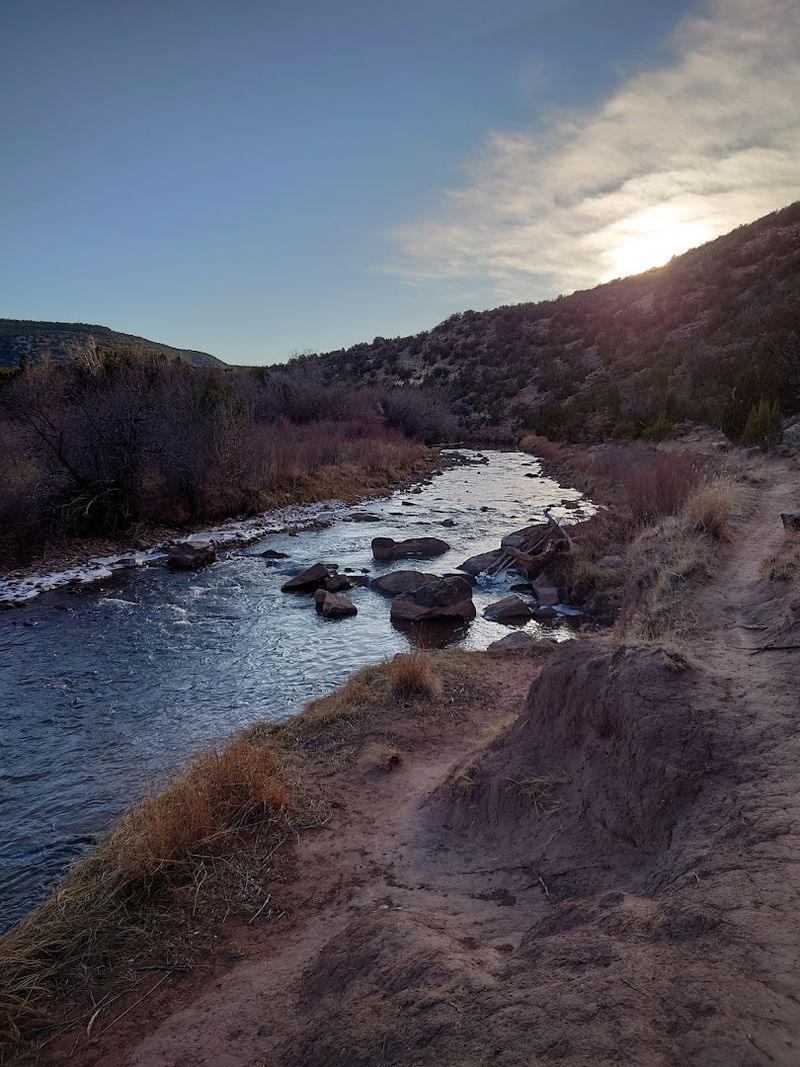 Cottonwood Shade And Canyon Air