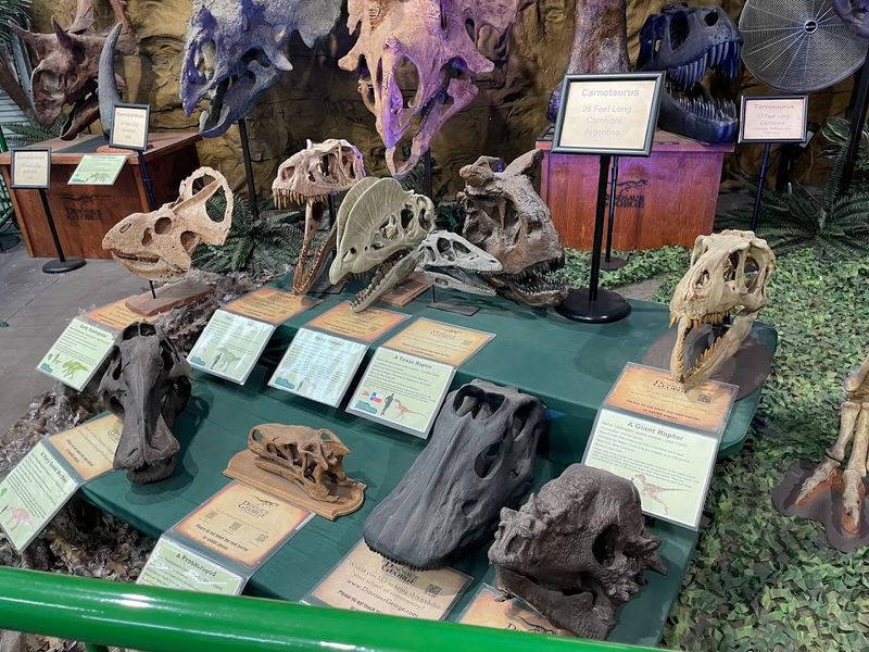 Dinosaur Museum Surprise