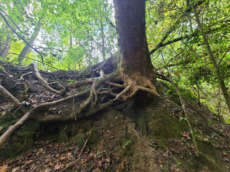 Safety On Steep Trails And Ravines