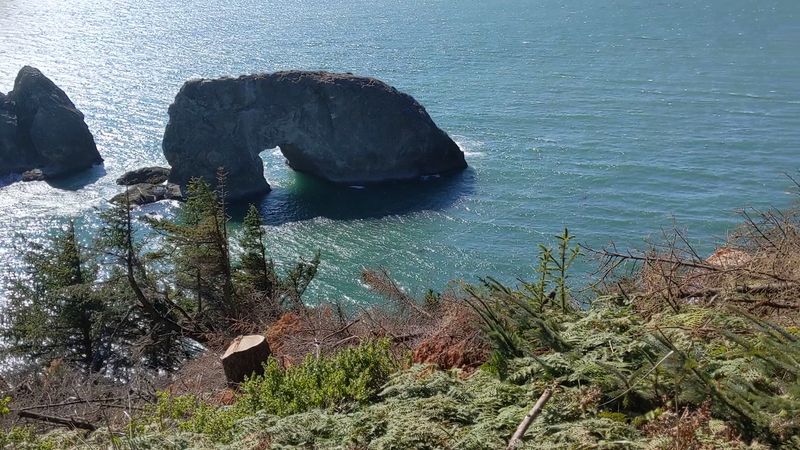 Arch Rock Viewpoint Stop
