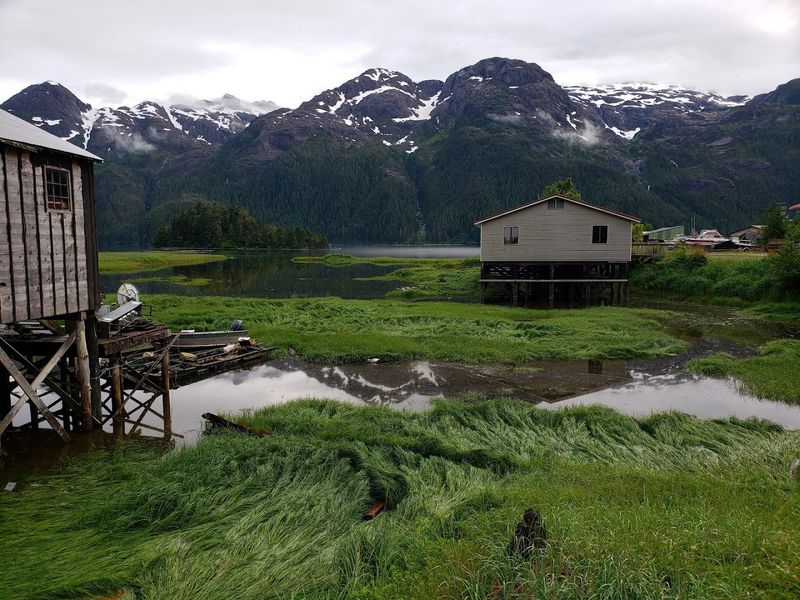 Pelican, Hoonah-Angoon Census Area