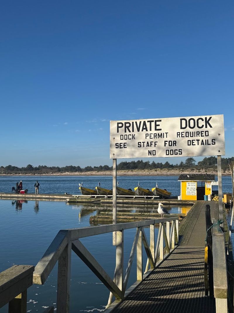 Catching Your Own Crab From The Dock