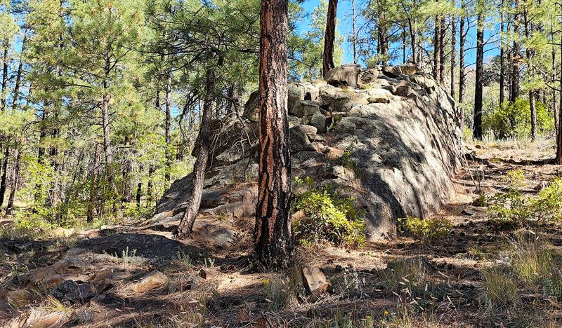 Hidden Corners Beneath the Jemez Cliffs
