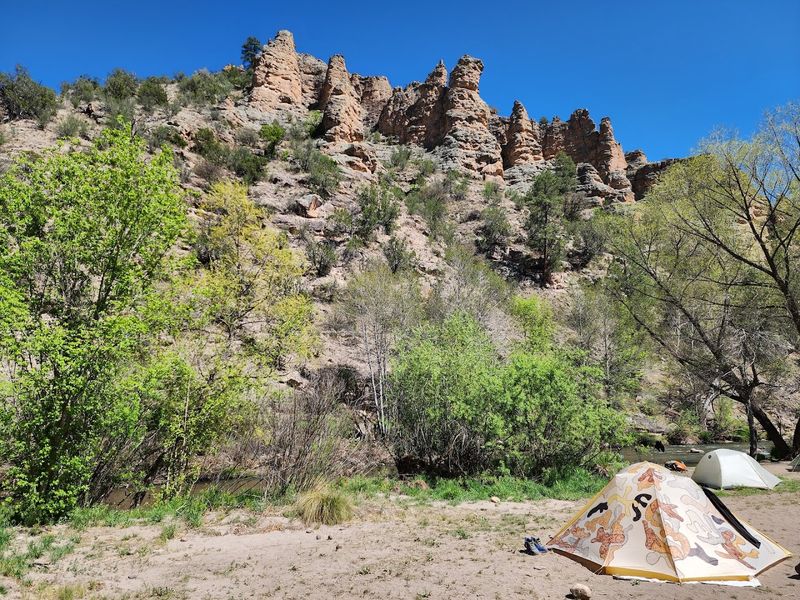 Off-Grid Calm In The Gila Forest