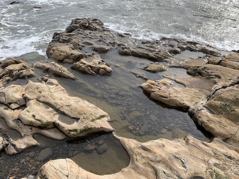 Agate Beach County Park and Duxbury Reef