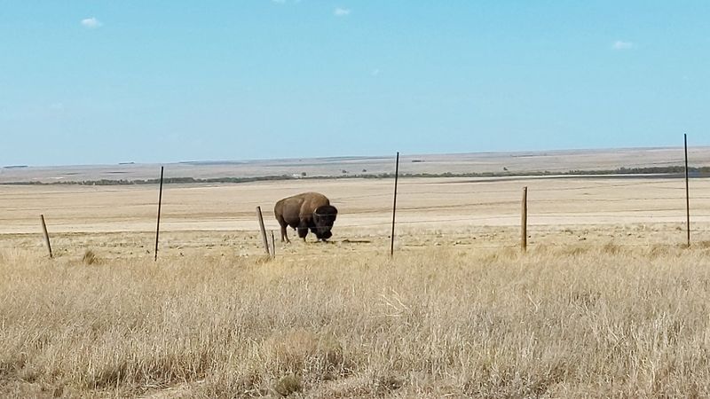Wildlife Sightings Here Are Surprisingly Impressive