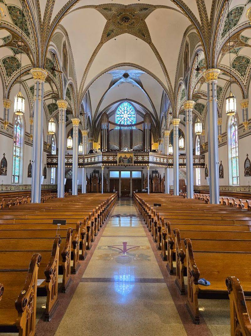 The Pipe Organ and the Music That Fills the Space