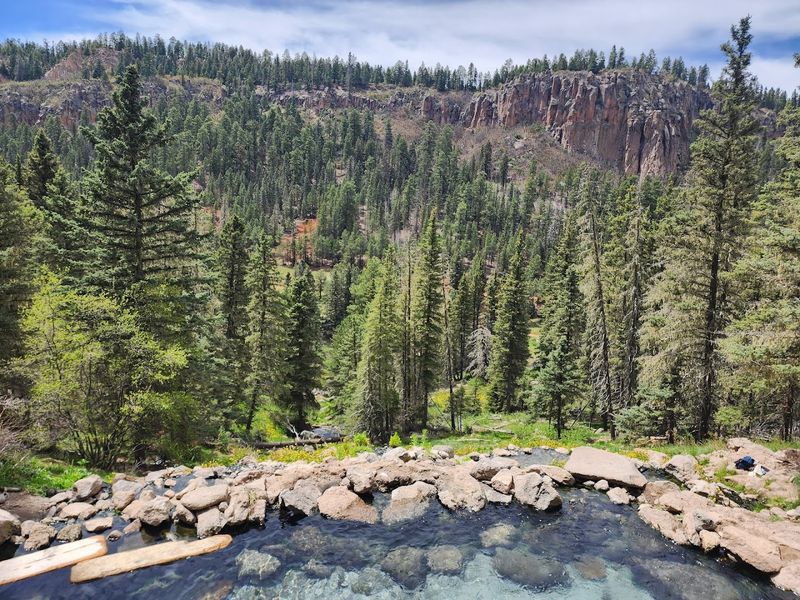 A Hillside Soak Surrounded By Trees