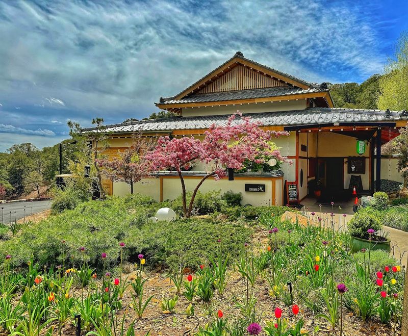 Japanese Calm Meets Southwest Scenery