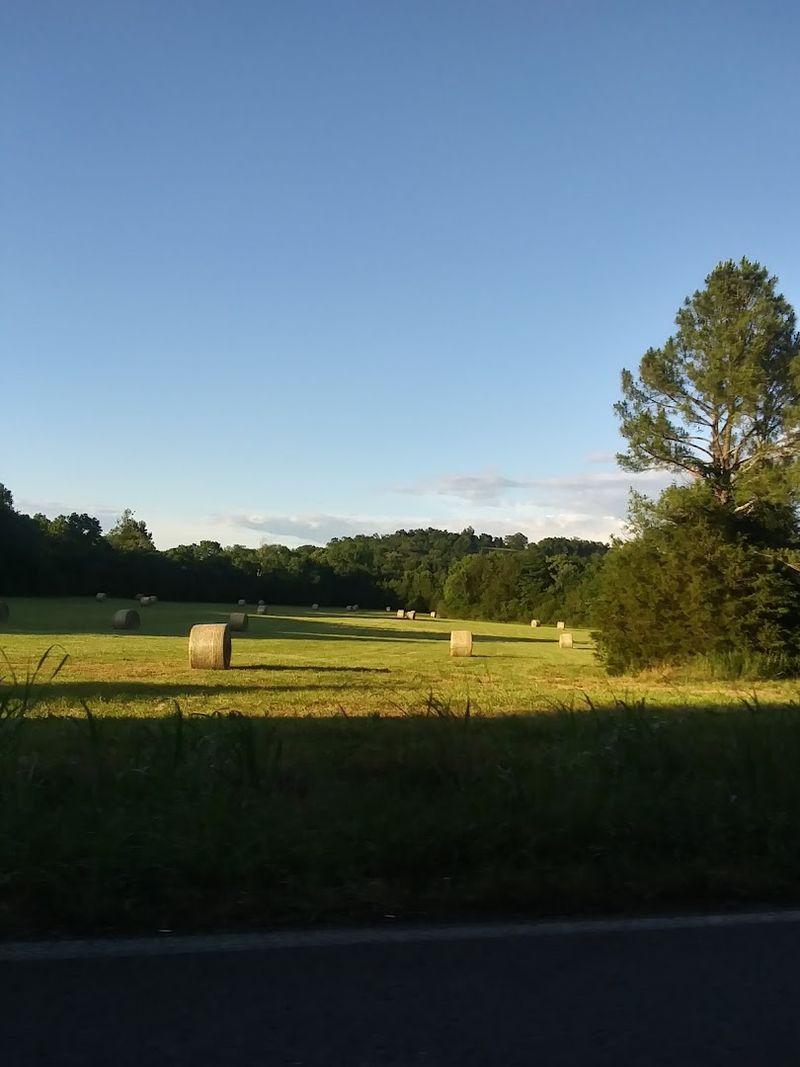 Elkmont