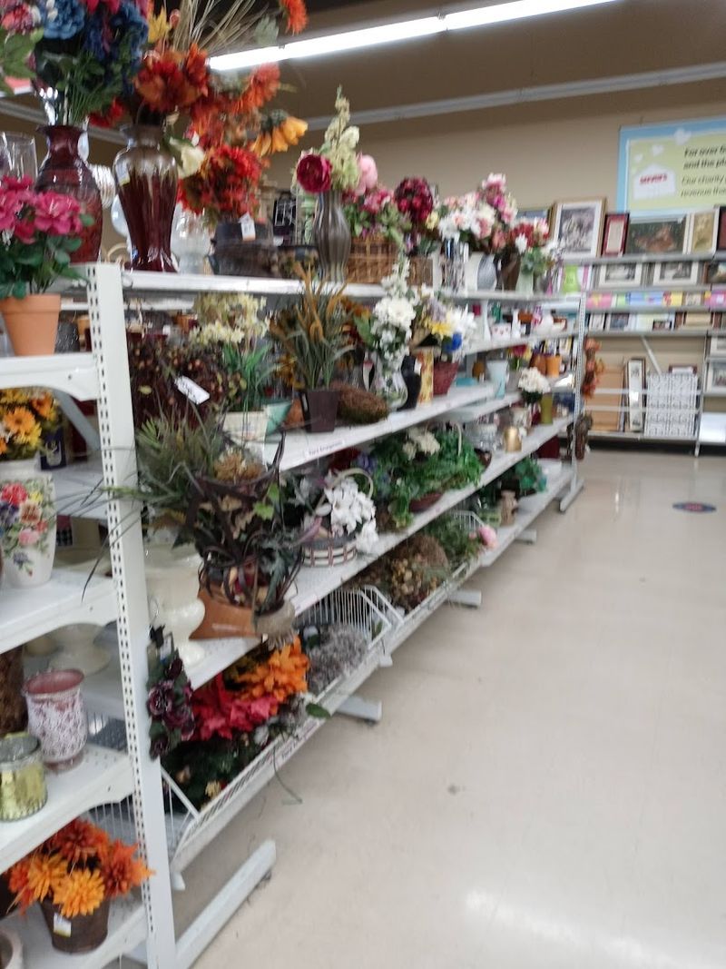 Unique Finds That Keep Shoppers Coming Back
