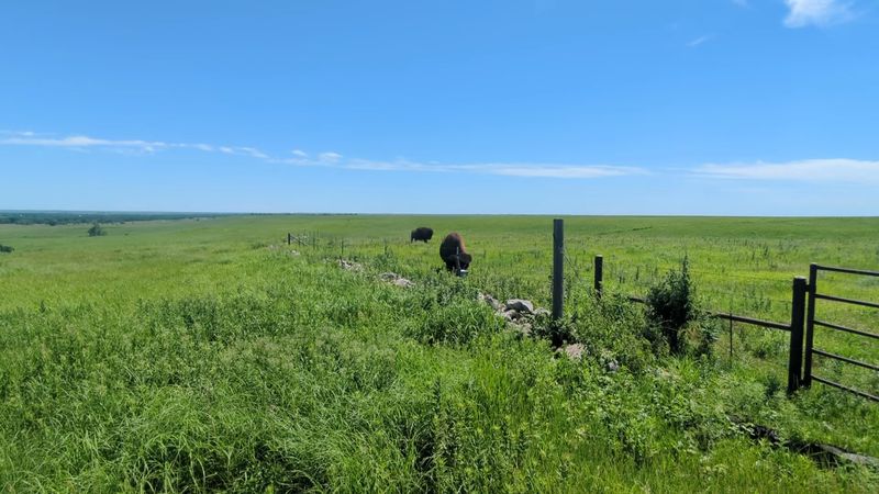 Tallgrass Prairie National Preserve, Strong City