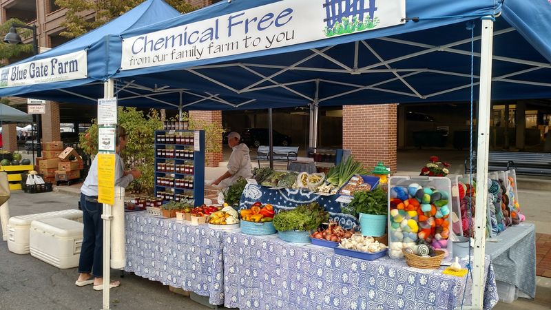 The Downtown Farmers Market Experience