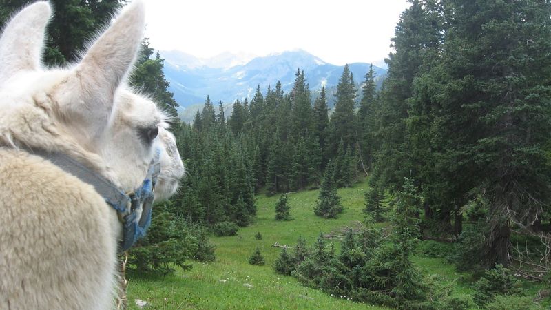 Backcountry Beauty With A Peaceful Pace