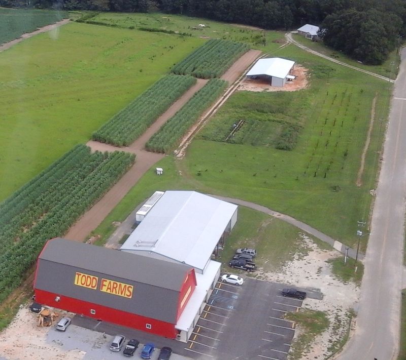 Todd Farms - Headland