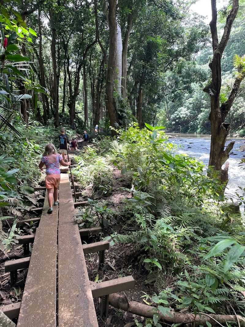 Creek Crossings And Steps