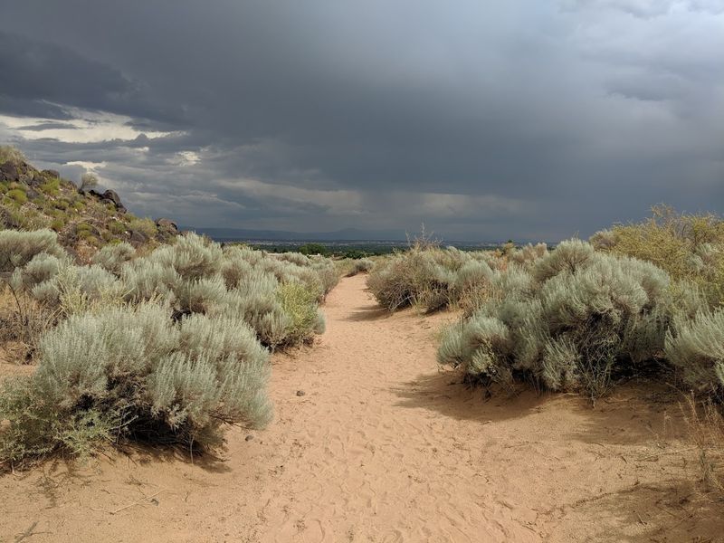 A Quiet Walk Through Rock Art