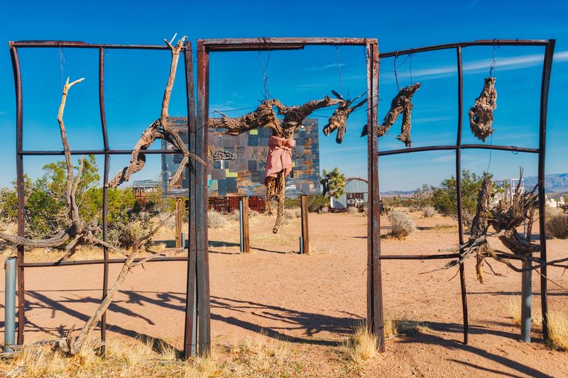 The Desert Is Not Just A Backdrop, It Is Part Of The Art