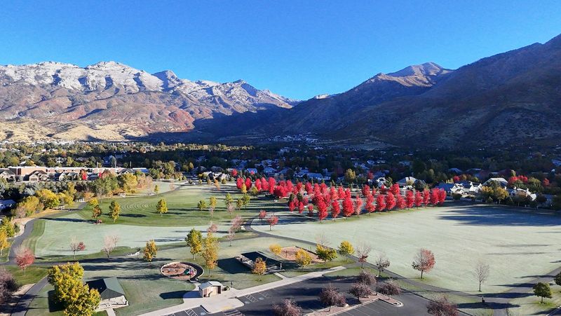Open Grass Fields and Mountain Views That Justify the Drive