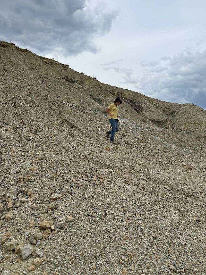 The Fossil Hunting Experience You Will Not Forget