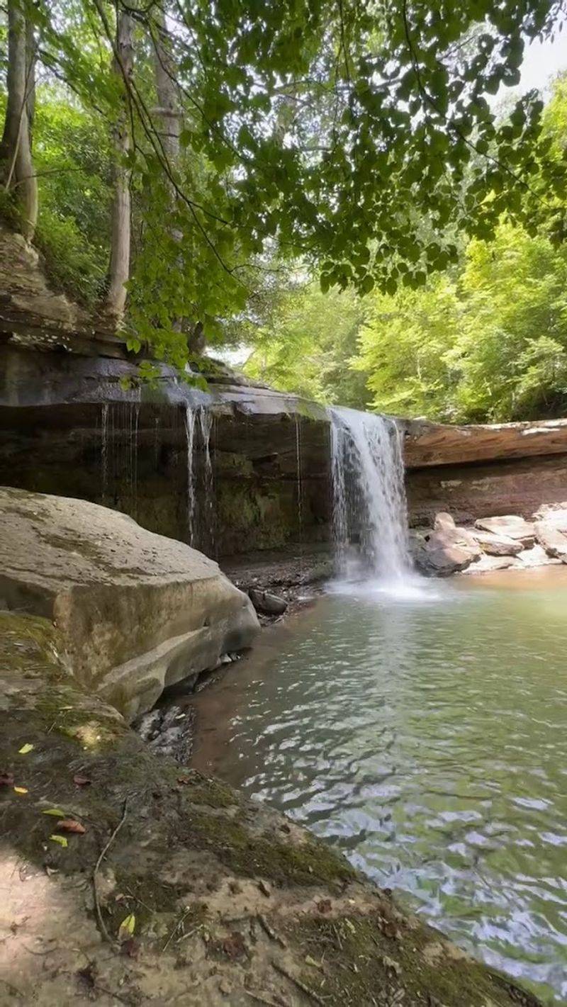 Wildlife And The Quiet Life Along The Creek
