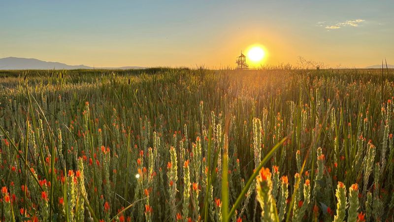 Sunset Views That Earn Their Reputation