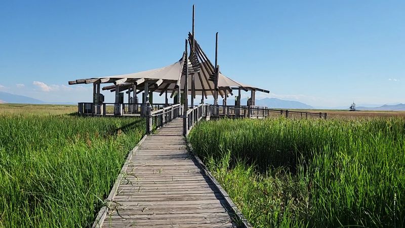 A Wetland Hiding in Plain Sight