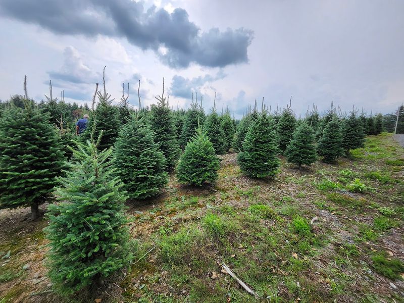 32 Acres Of Pure Holiday Scenery