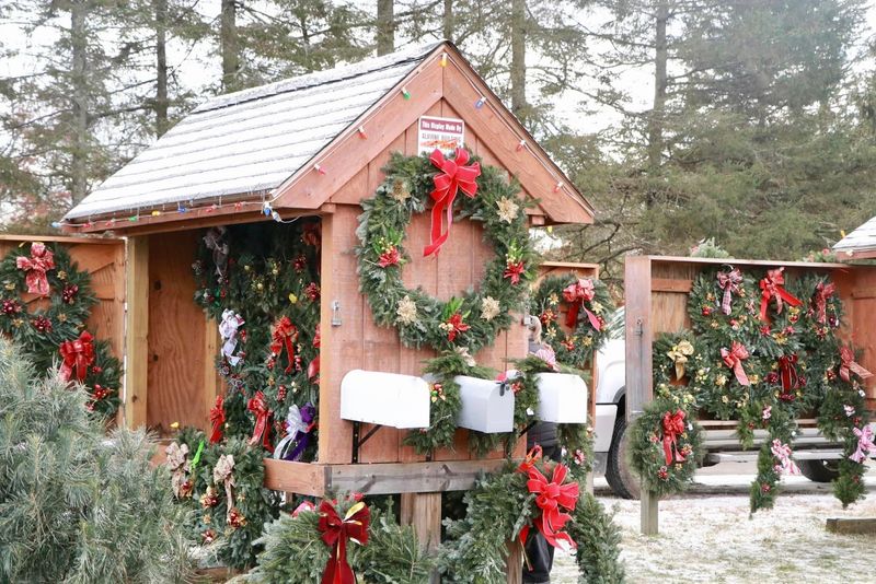 Wreaths, Garland, And Evergreen Extras Worth Browsing